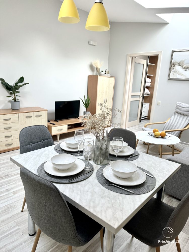 Zwei-Zimmer-Ferienwohnungen zur Miete im Zentrum von Palanga