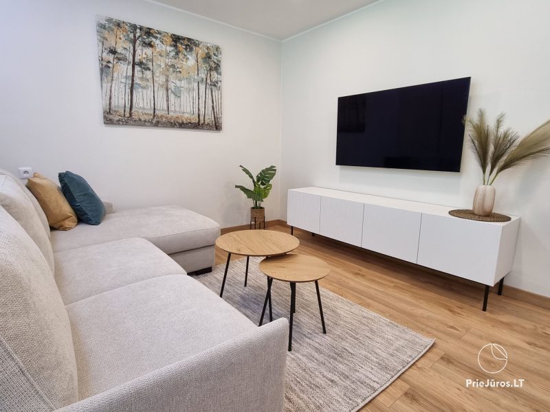 Neu renovierte Wohnung zur Miete in Juodkrantė