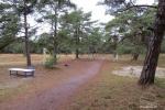 2-3-Zimmer-Wohnungen „Vanagas“, 300 m zum Meer - 6