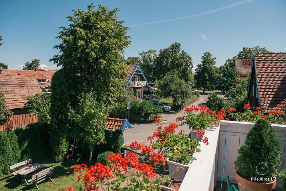 Villa „Miško namas“ in Nida. Apartmentvermietung