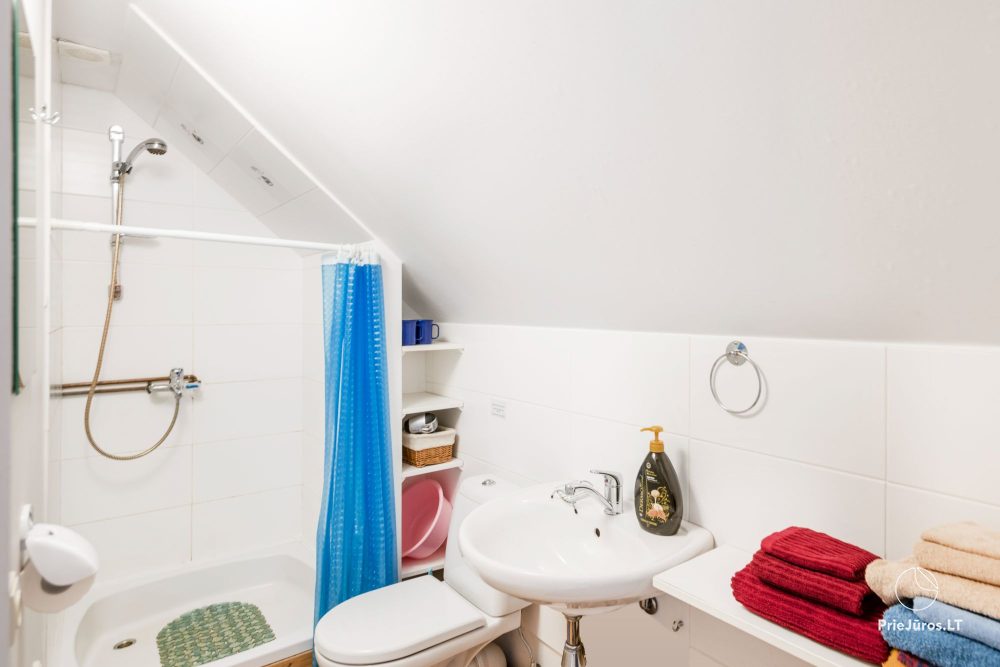 Zwei-Zimmer-Appartement (2+2) - Medus