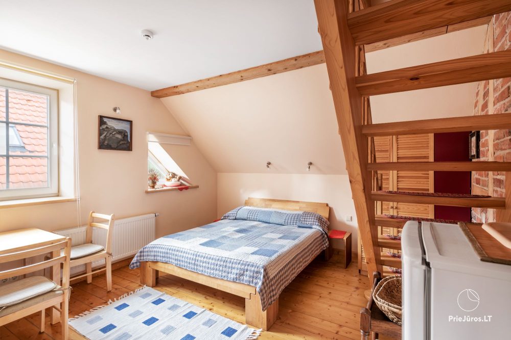 Zwei-Zimmer-Appartement (2+2) - Biskvitas