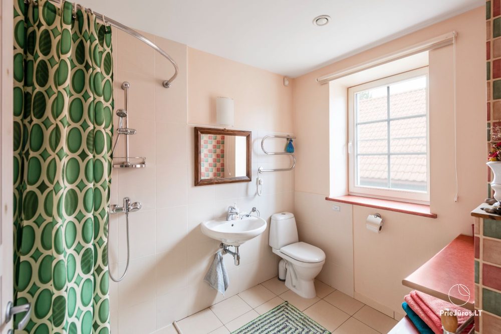 Zwei-Zimmer-Appartement (2+2) - Biskvitas