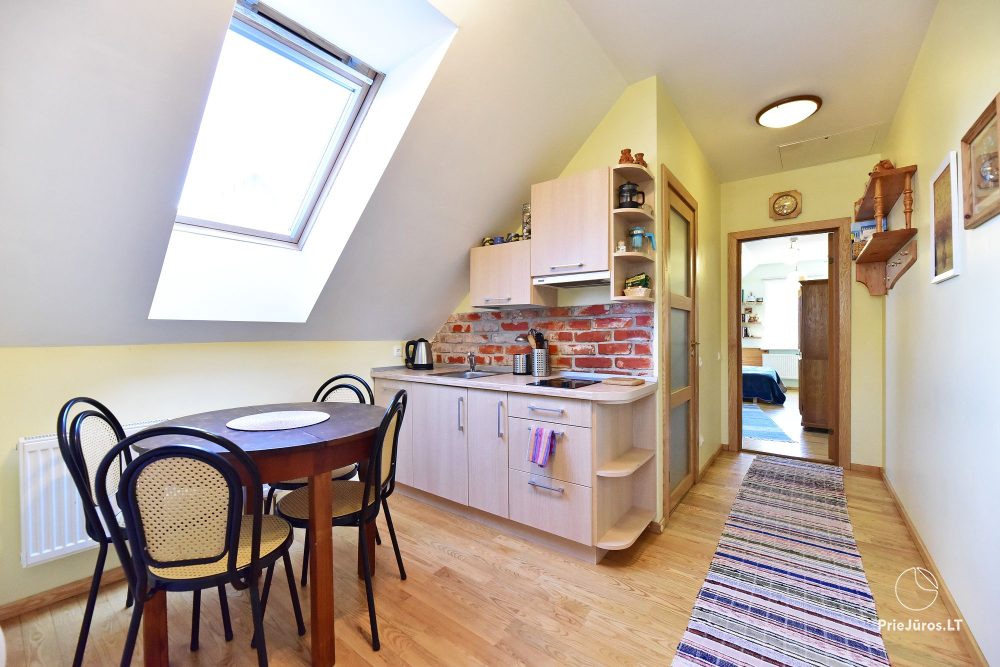 Zwei-Zimmer-Appartment (2+2) - Pastilė