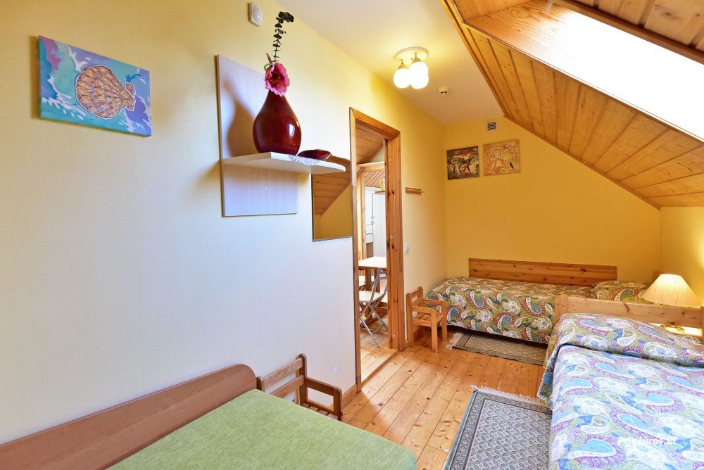 Zwei-Zimmer-Appartement (2+2) - Medus