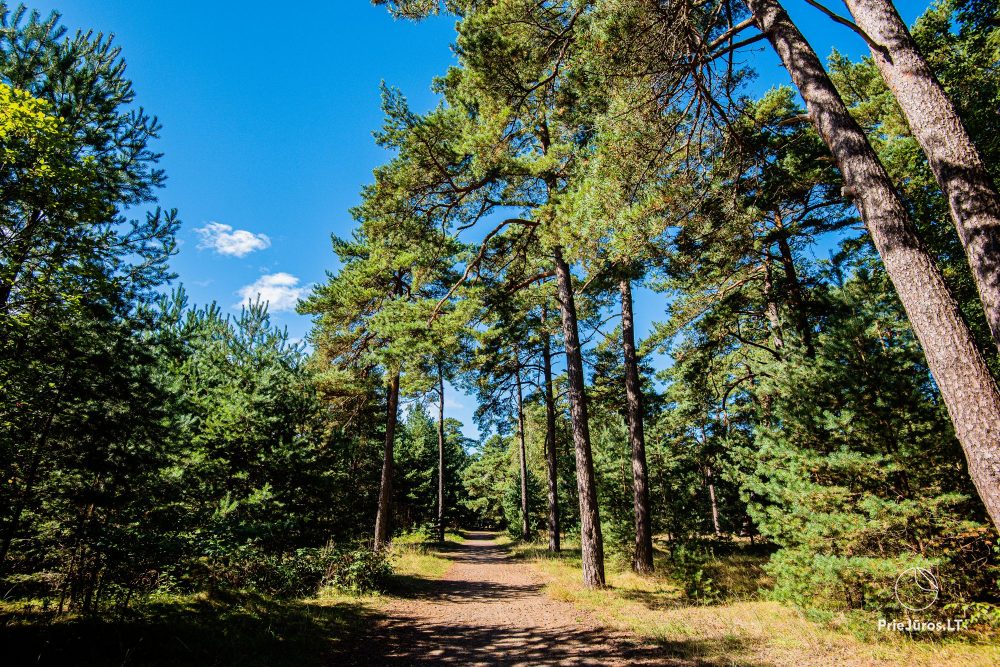 Ferienwohnungs in Palanga im Gasthaus Provincija