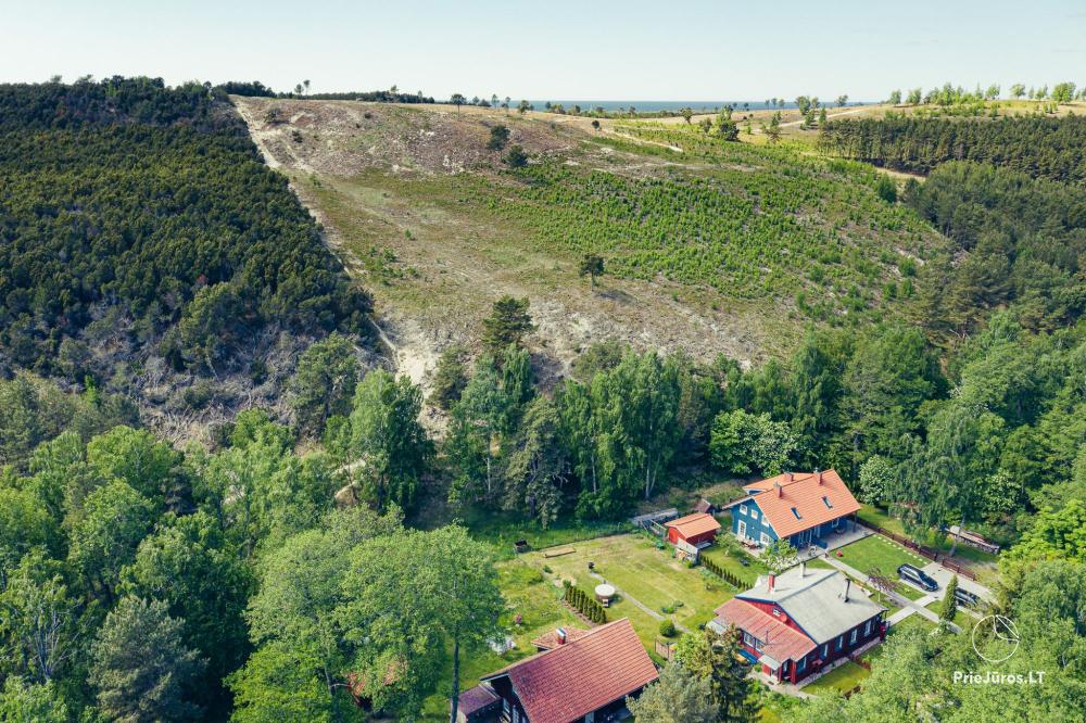 Zwei Apartments mit Garten und Whirlpool in Preila