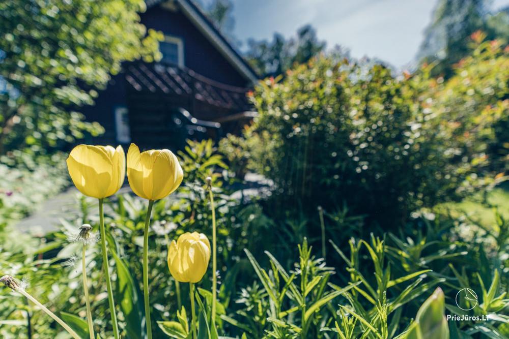 Zwei Apartments mit Garten und Whirlpool in Preila