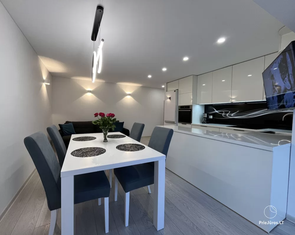 Moderne und elegante Dreizimmerwohnung im Zentrum von Nida - 1