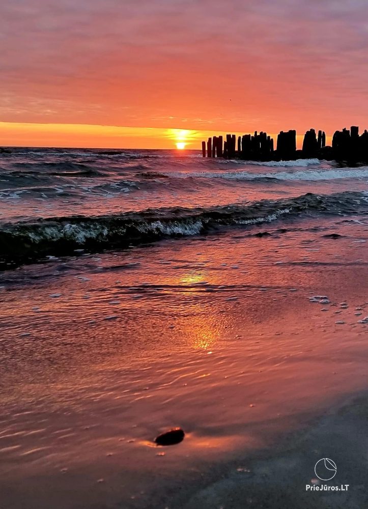 Zalia kopa Wohnungen befindet sich 300 meter vom Sandstrand entfernt