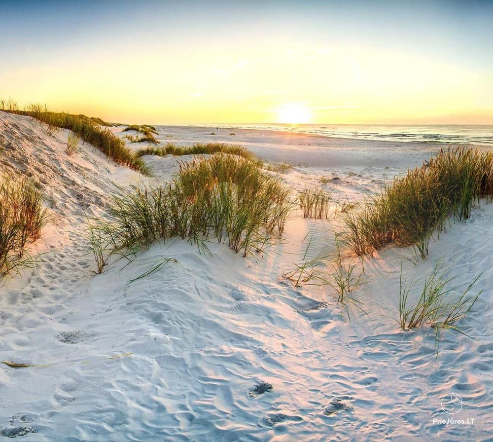 „Apartment in the dunes“ - „Žalia kopa“, 50 Meter bis zum Meer
