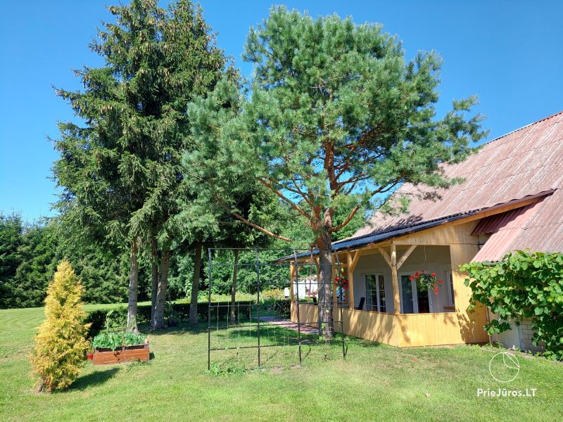Geräumige Wohnung in Kintai