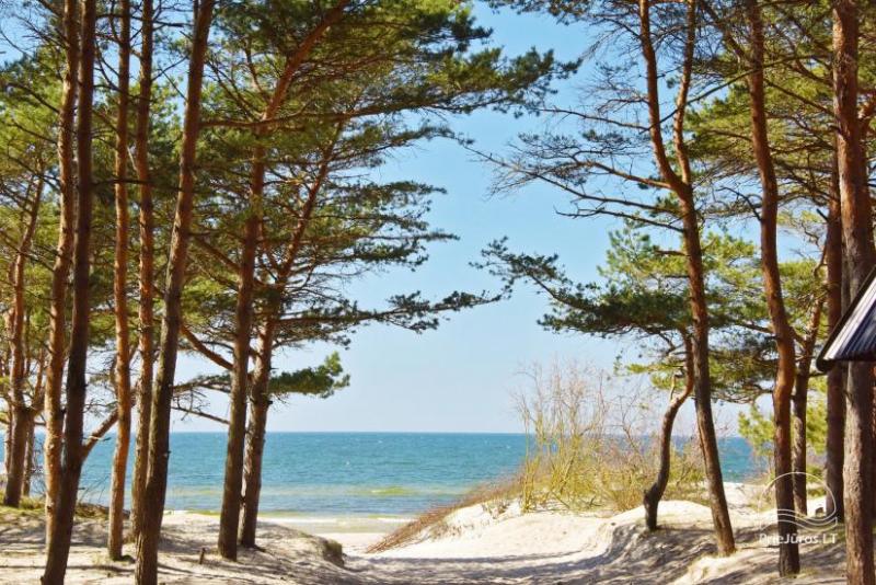 Ruhige Erholung am Meer in Kunigiskes!