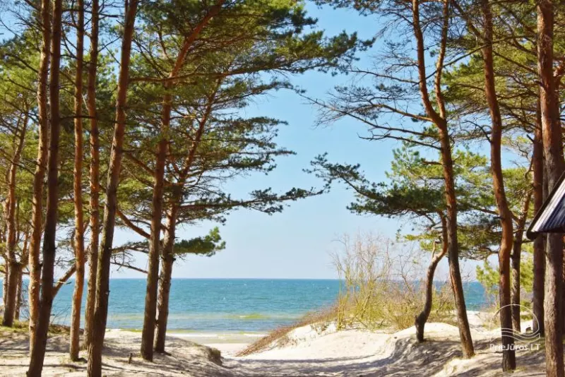 Ruhige Erholung am Meer in Kunigiskes!