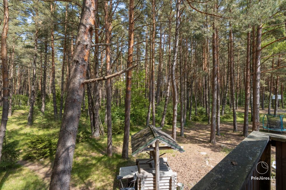 Hütten im Kiefernwald von Palanga, am Meer und Apartments in „Malūno vilos“
