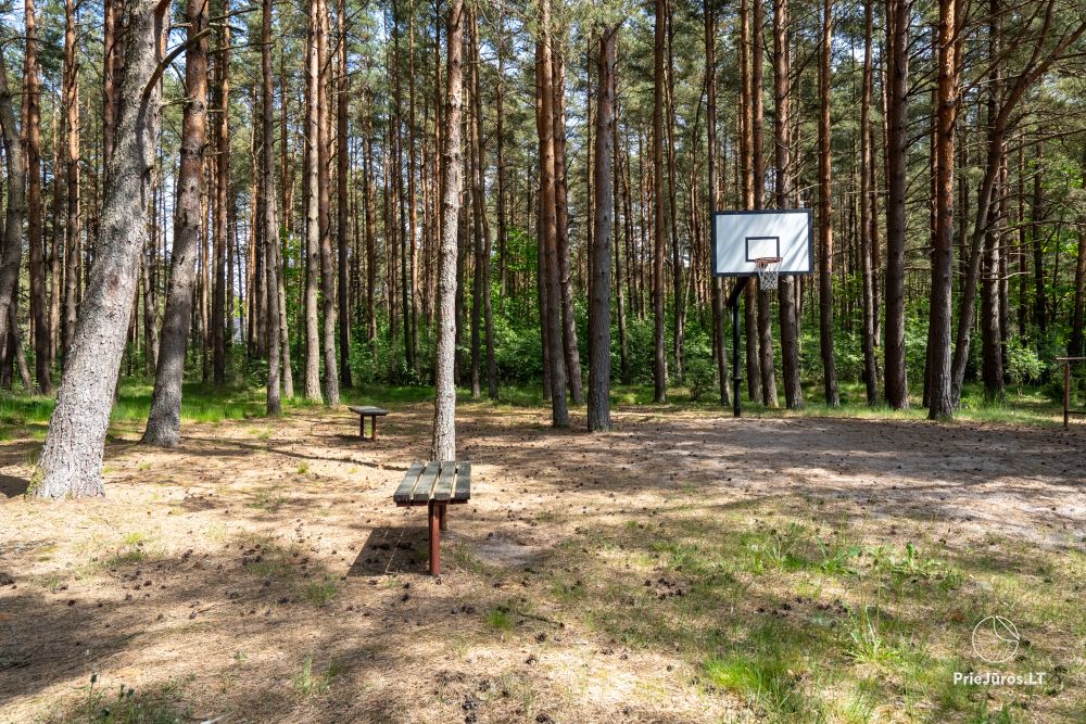 Hütten im Kiefernwald von Palanga, am Meer und Apartments in „Malūno vilos“