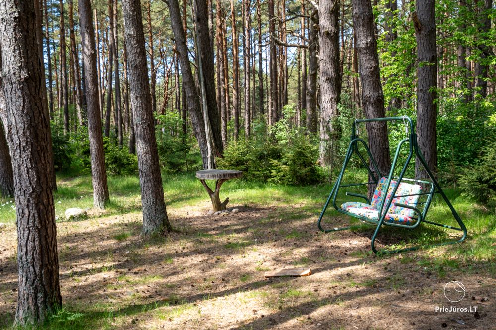 Hütten im Kiefernwald von Palanga, am Meer und Apartments in „Malūno vilos“