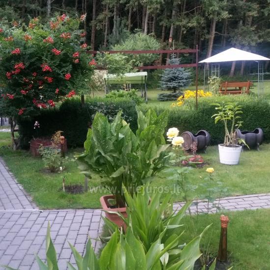Gehöft in Vente Šturmų sodyba