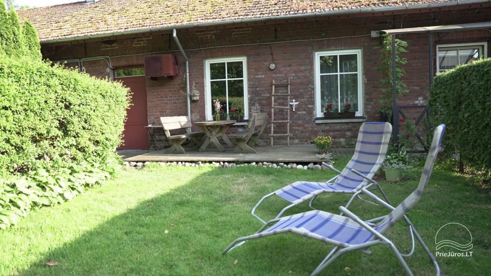 2-Zimmer-Wohnung in Juodkrante - 1