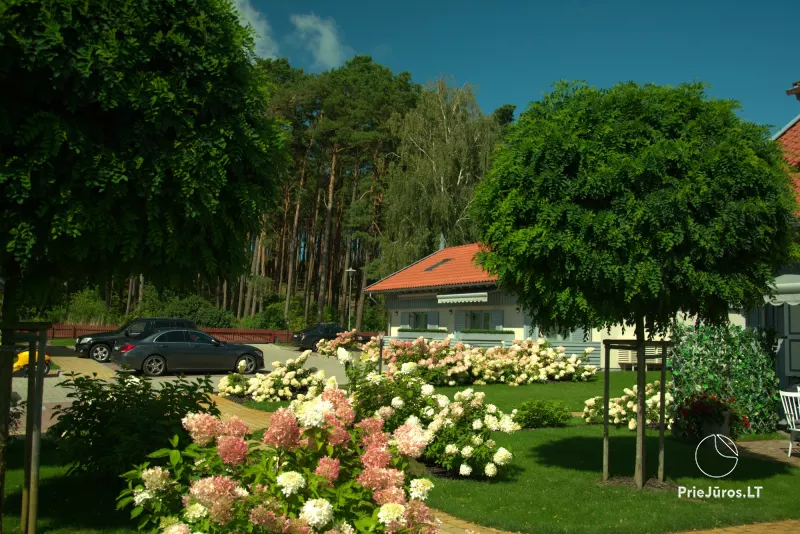 Perle von Preila - Unterkunft in Curonian Spint, in Litauen