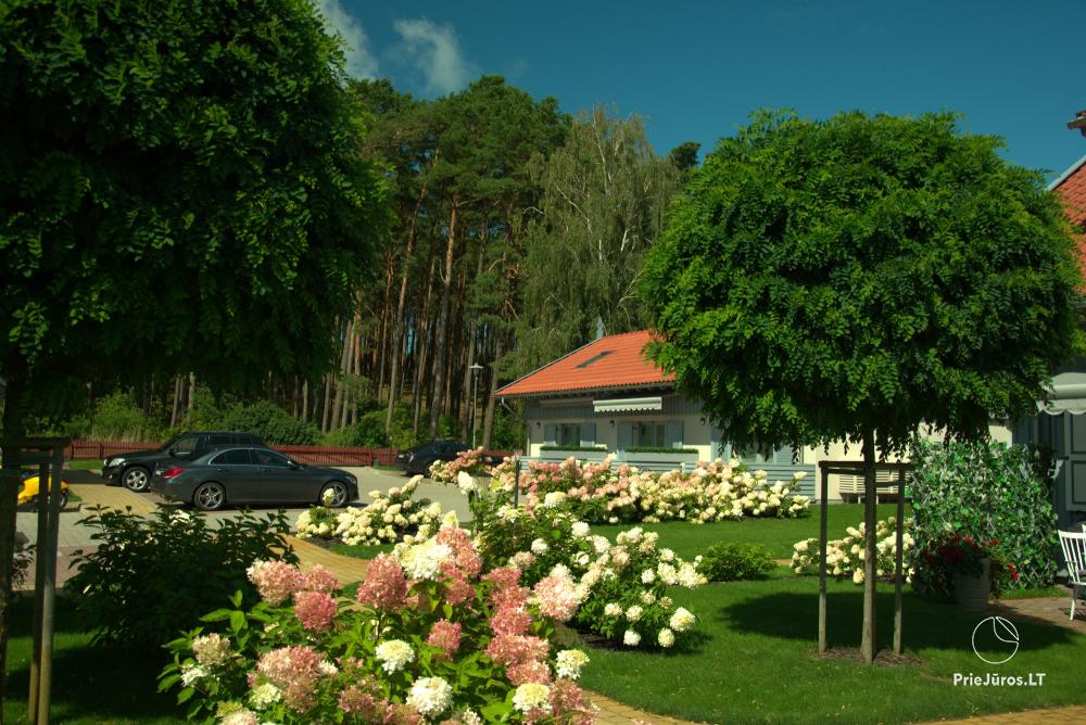 Perle von Preila - Unterkunft in Curonian Spint, in Litauen - 1
