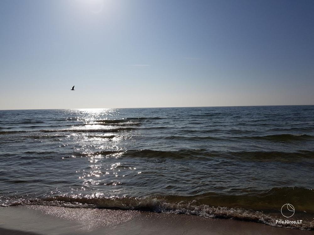 Einzimmerwohnung zur Miete in Palanga, in der Vanagupes Straße