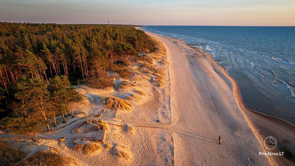 Apartment in the dunes in Palanga, in Kunigiskes