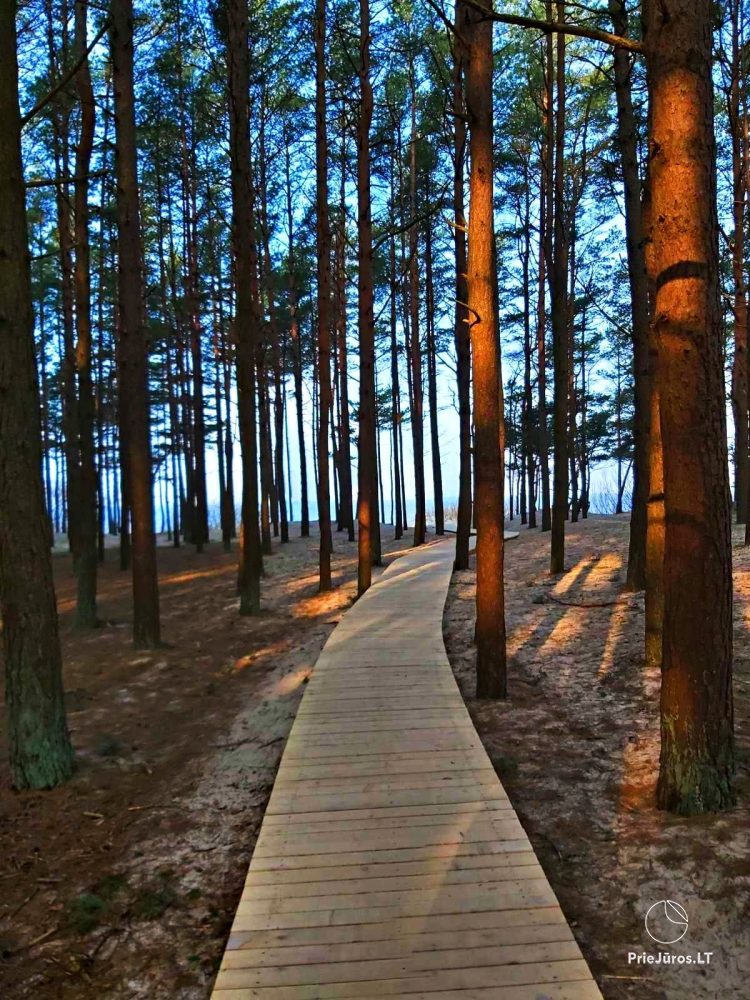 Apartment in the dunes in Palanga, in Kunigiskes