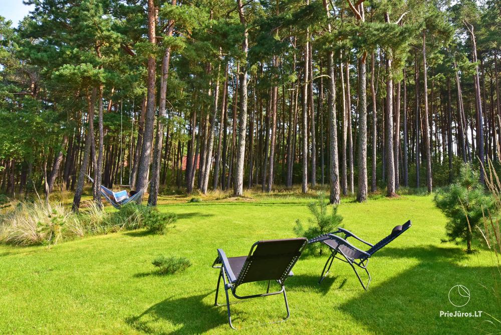 Šokančios Pušys - Wohnung zur Miete in Preila