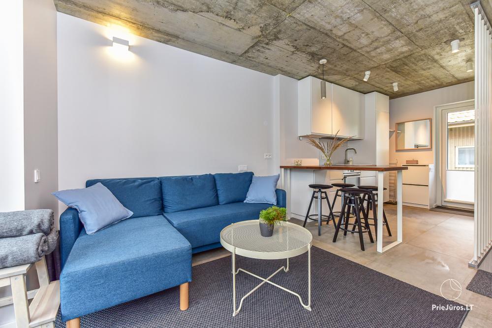 Šokančios Pušys - Wohnung zur Miete in Preila