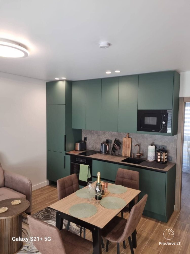 Einzimmerwohnung zur Miete in Palanga