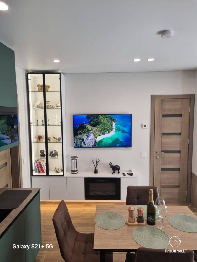 Einzimmerwohnung zur Miete in Palanga