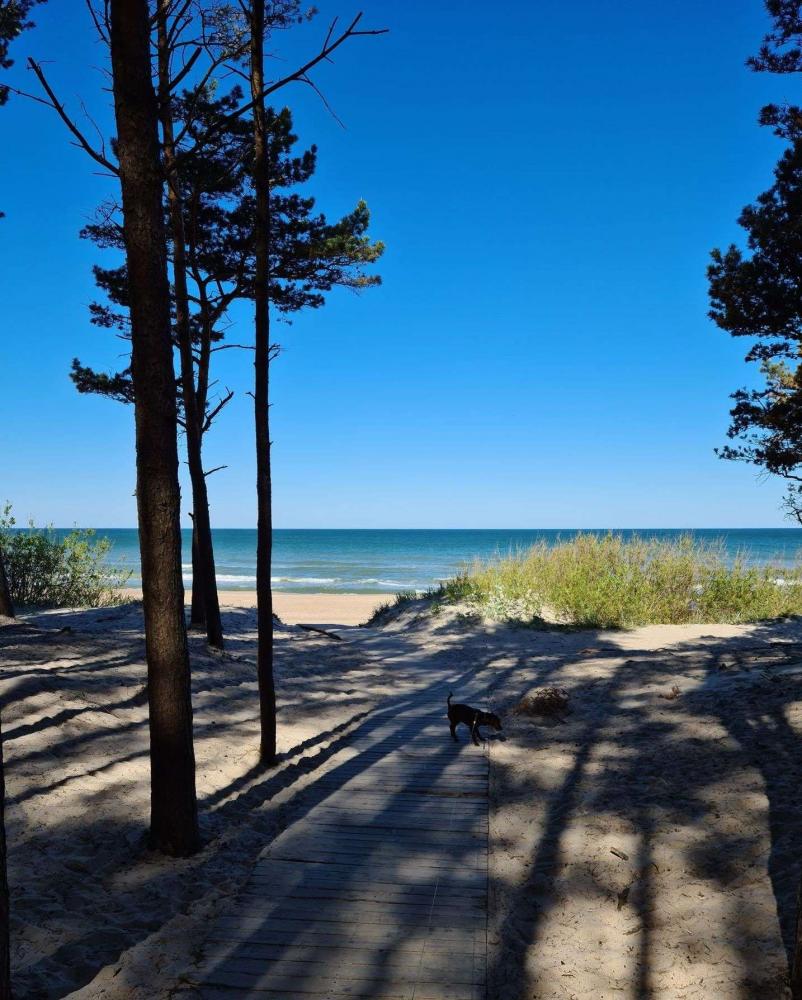 Apartment Furfa in Palanga, in Kunigiskiai. Pool im Hof