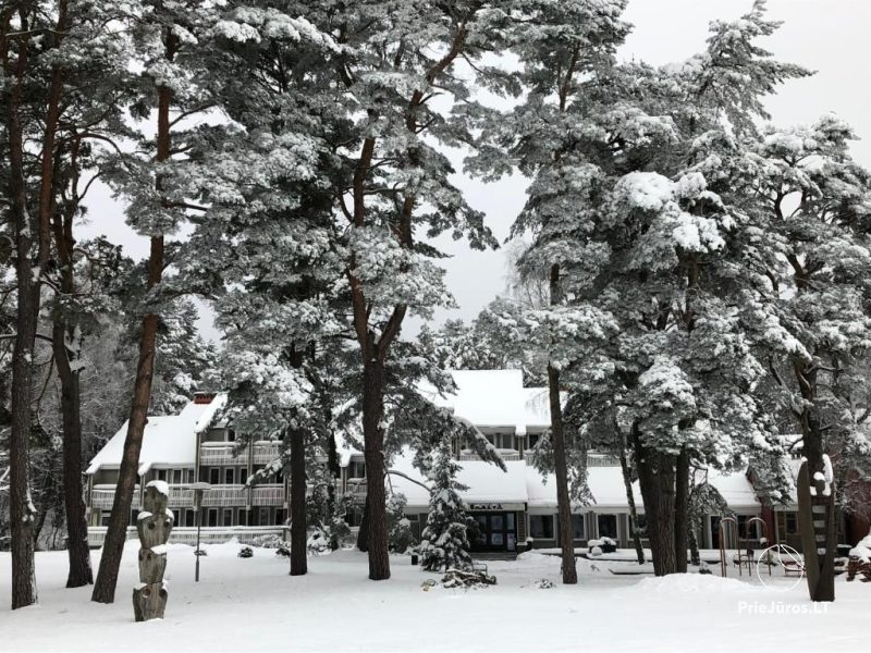 Gästehaus „SKALVA“ in Nida: wo die Lagune auf die Ruhe des Kiefernwaldes trifft!