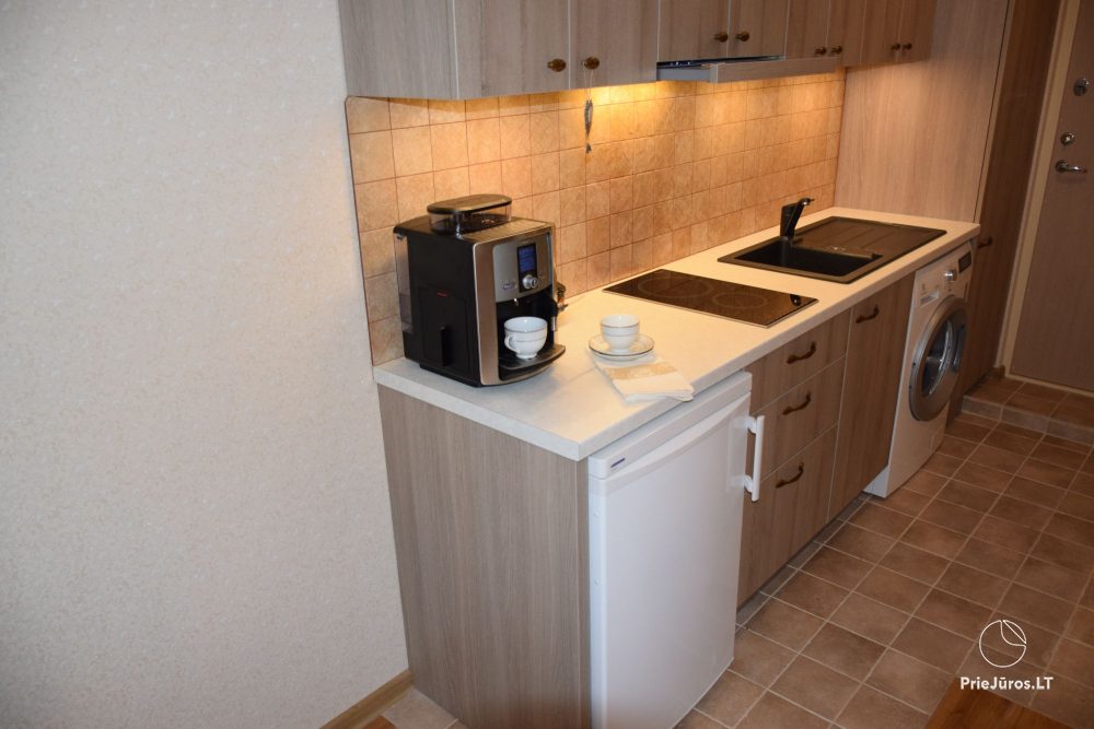Im Zentrum von Nida, „Prie Pušyno“, Švyturio Str. Zwei gemütliche Studio-Apartments