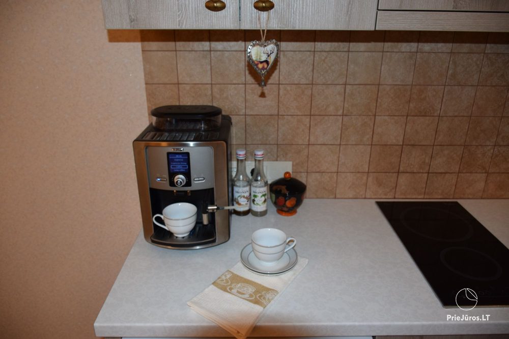 Im Zentrum von Nida, „Prie Pušyno“, Švyturio Str. Zwei gemütliche Studio-Apartments