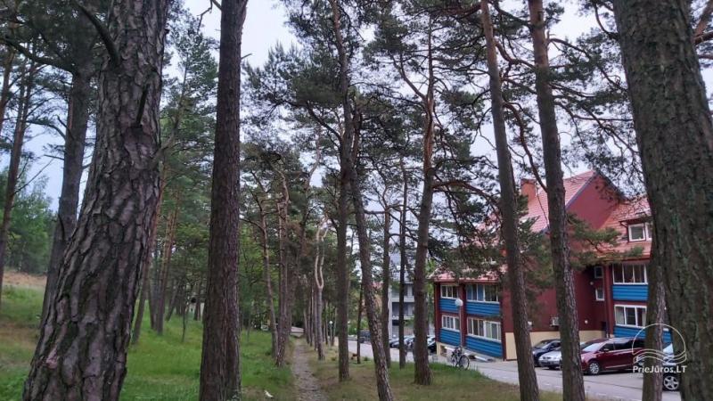 2 gemütliche Studio-Apartments zur Miete im Zentrum von Nida, Švyturio Str. „Prie Pušyno“
