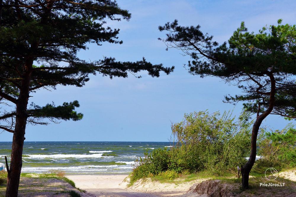 Ciki Puki Purslai Mietwohnungen mit beheiztem Pool in Palanga, in Kunigiskiai