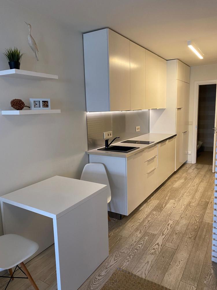 Geräumige Wohnung Nidos Vilnele