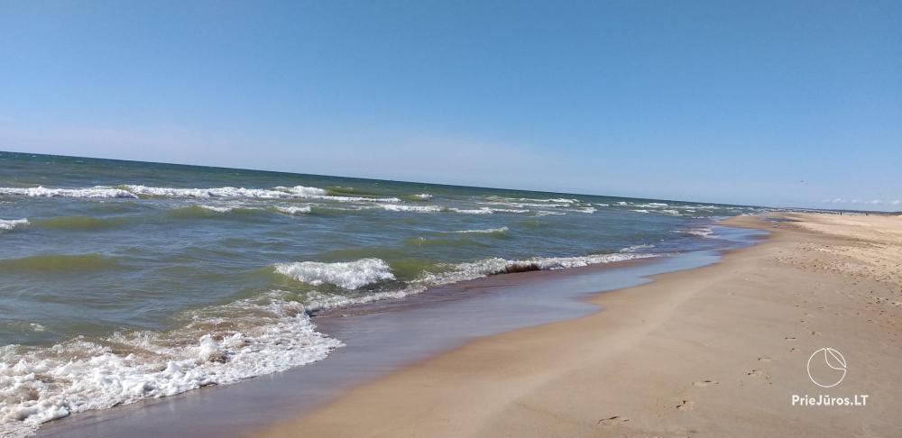 Ferienwohnung - Appartement zu vermieten in Palanga für bis zu 6 Personen