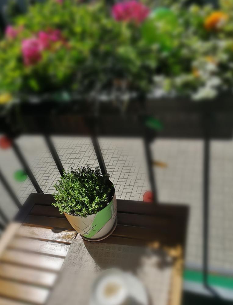 Entspannen Sie sich in den Appartements „Malūņu vilos“ in Palanga