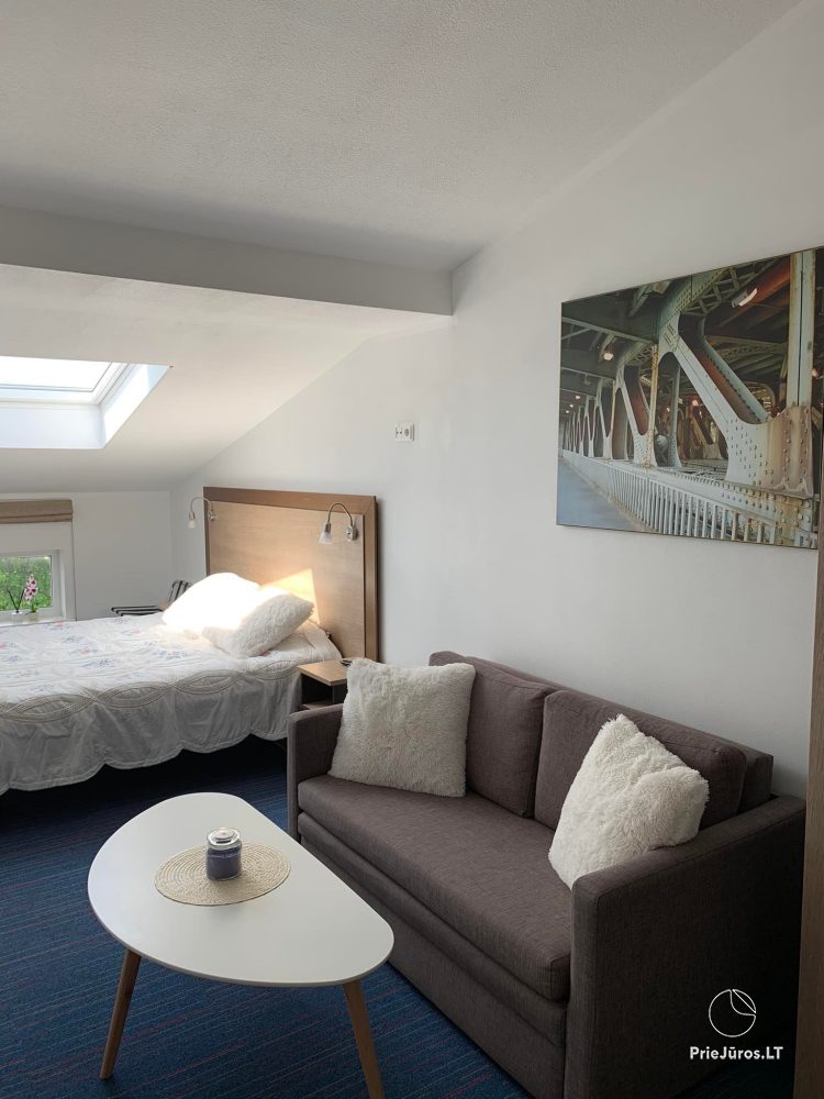 Wohnung - Studio zu vermieten in Palanga - 1