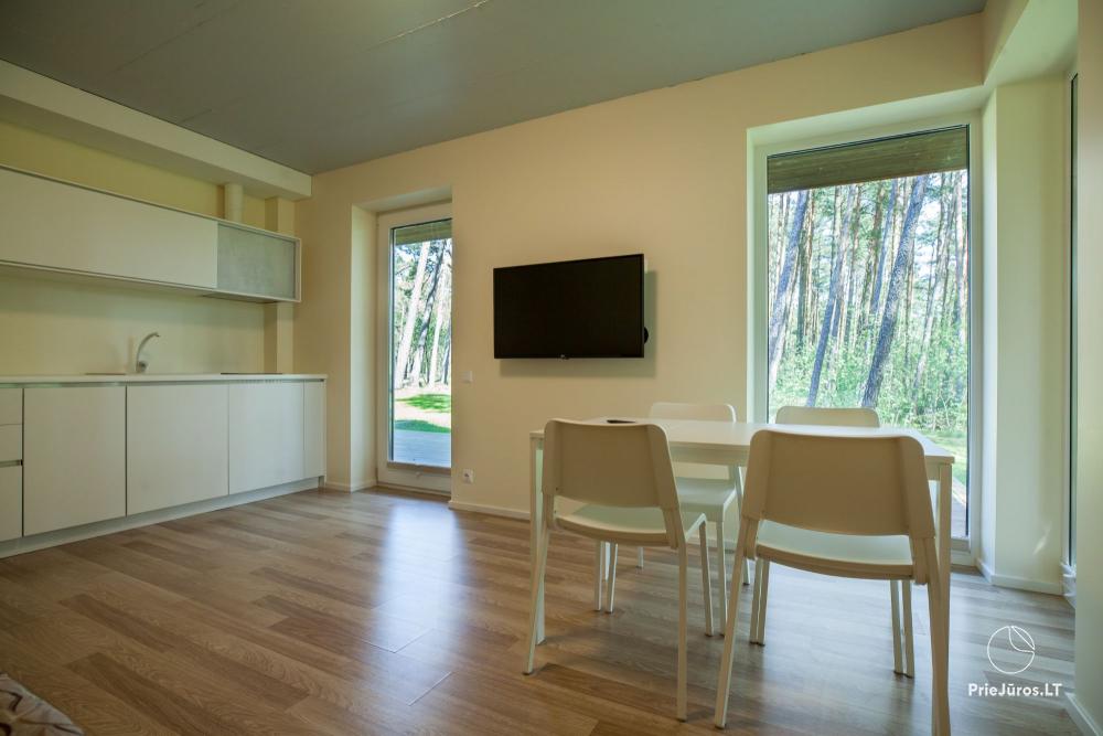Wohnungen mit Blick auf den Pinienwald zu vermieten in Preila Preila4You