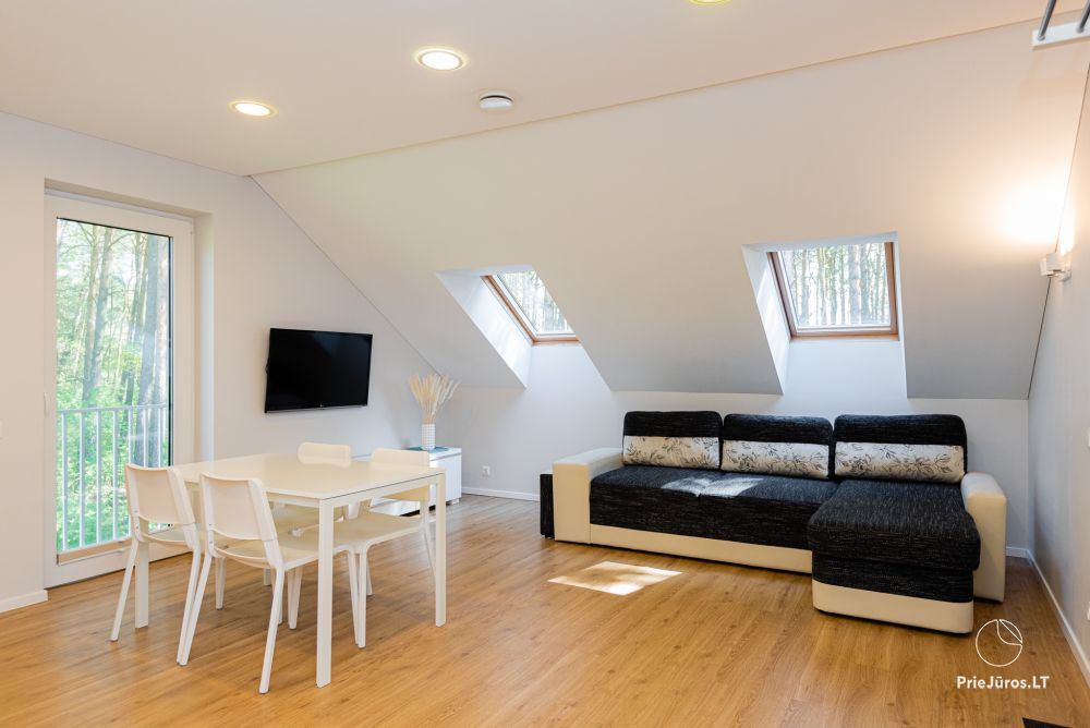 Wohnungen mit Blick auf den Pinienwald zu vermieten in Preila Preila4You