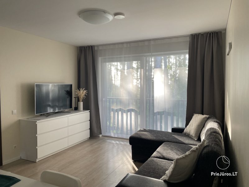 Wohnungen mit Blick auf den Pinienwald zu vermieten in Preila Preila4You