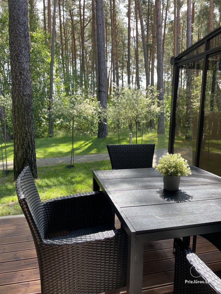 Wohnungen mit Blick auf den Pinienwald zu vermieten in Preila Preila4You
