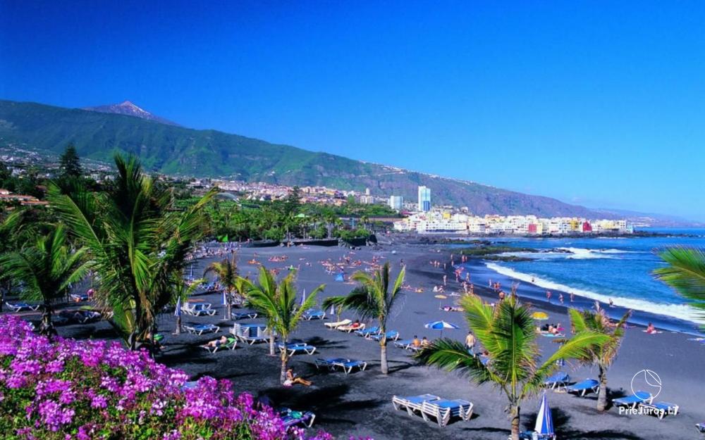 Apartment Fantastico in der Region Puerto de la Cruz auf Teneriffa