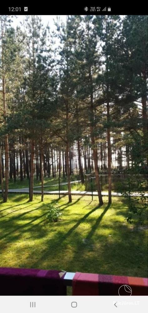 Wohnung am Meer in Kunigiškiai