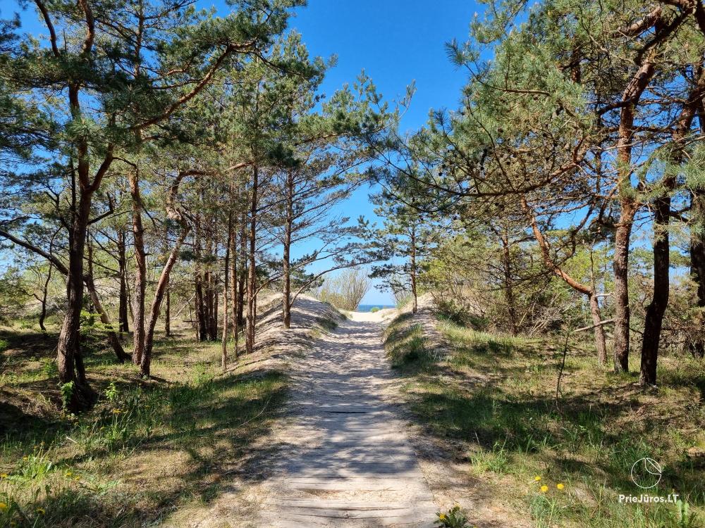Neue Wohnungen in Kunigiskiai, nahe der Ostsee - Nendres 10