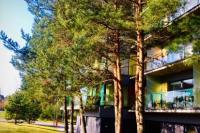 Helle, gemütliche 2 Zimmer Wohnung in Palanga zu vermieten